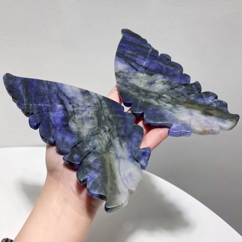 Blue Sodalite Butterfly Wing Carving With Stand - Wholesale Crystals