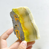 Bumble Bee Jasper Slab Wholesale - Wholesale Crystals