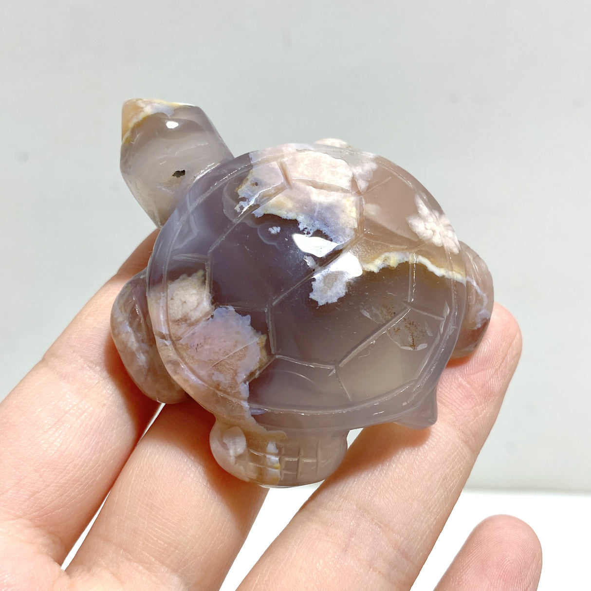 17 Pieces Sakura Flower Agate Sea Turtle Carving