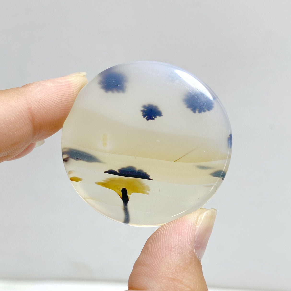 11 Pieces Natural Rare Scenic Dendritic Agate Stone