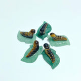 Caterpillar On Leaf Mini Carving Wholesale Tiger Eye Rose Quartz - Wholesale Crystals