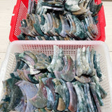 Colorful Moss Agate Moon Carving Wholesale -Wholesale Crystals