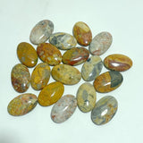 Crazy Agate Palm Wholesale - Wholesale Crystals