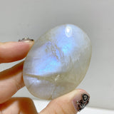 High Quality Moonstone Palm Wholesale