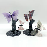 Mixed Materials Butterfly Wing Carving With Cat Stand Wholesale