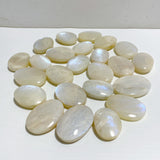 High Quality Moonstone Palm Wholesale