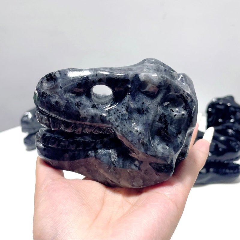 Dinosaur Skull Carving Wholesale Obsidian Larvikite - Wholesale Crystals