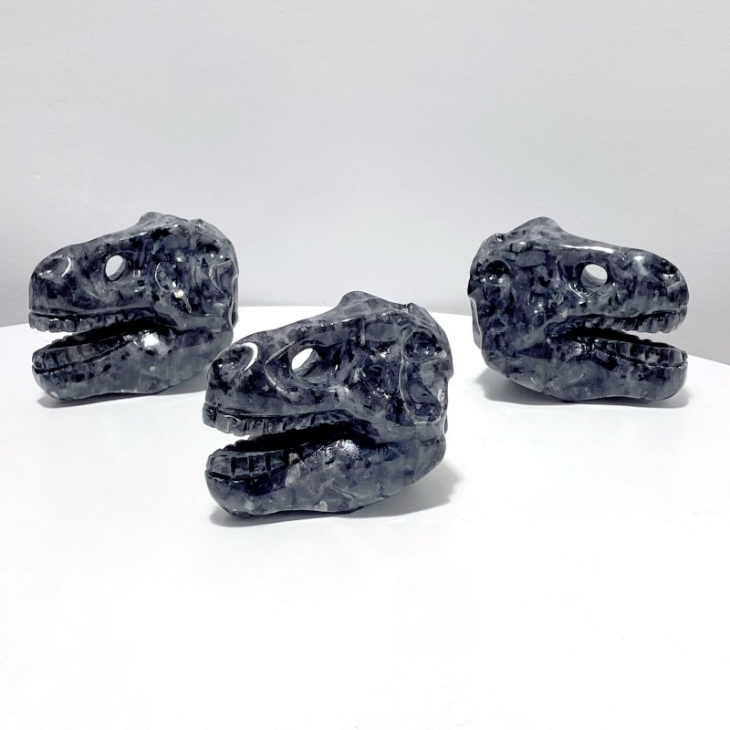 Dinosaur Skull Carving Wholesale Obsidian Larvikite - Wholesale Crystals