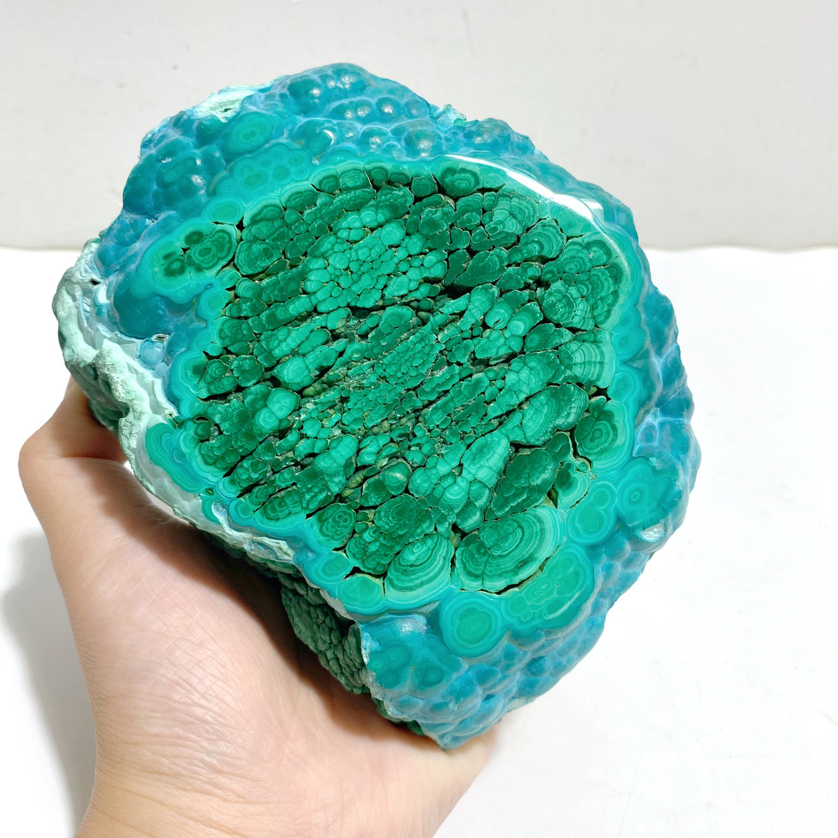 Unique Chrysocolla Mixed Malachite Specimen Raw Bottom With Stand