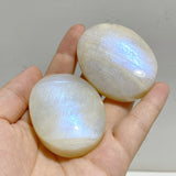 High Quality Moonstone Palm Wholesale
