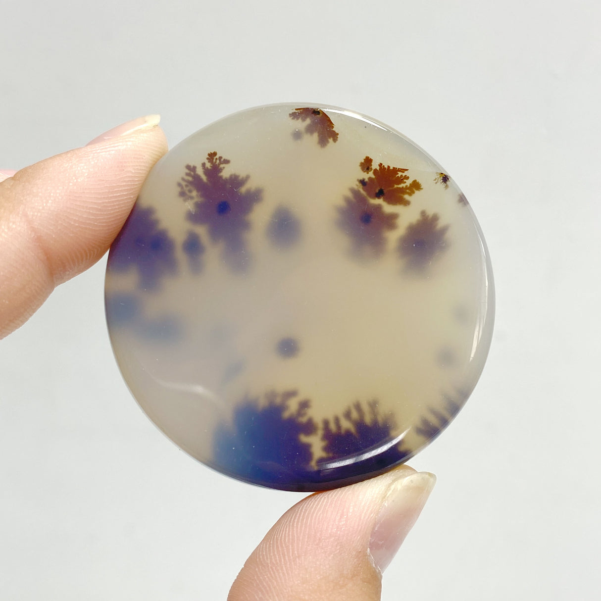 11 Pieces Natural Rare Scenic Dendritic Agate Stone