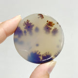 11 Pieces Natural Rare Scenic Dendritic Agate Stone