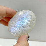 High Quality Moonstone Palm Wholesale