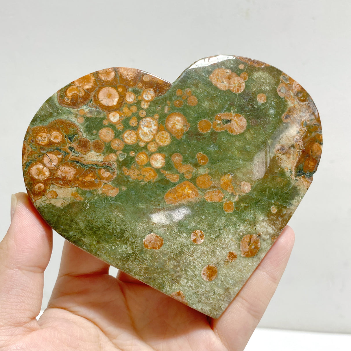 12 Pieces Large Rainforest Jasper Heart #2