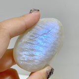 High Quality Moonstone Palm Wholesale