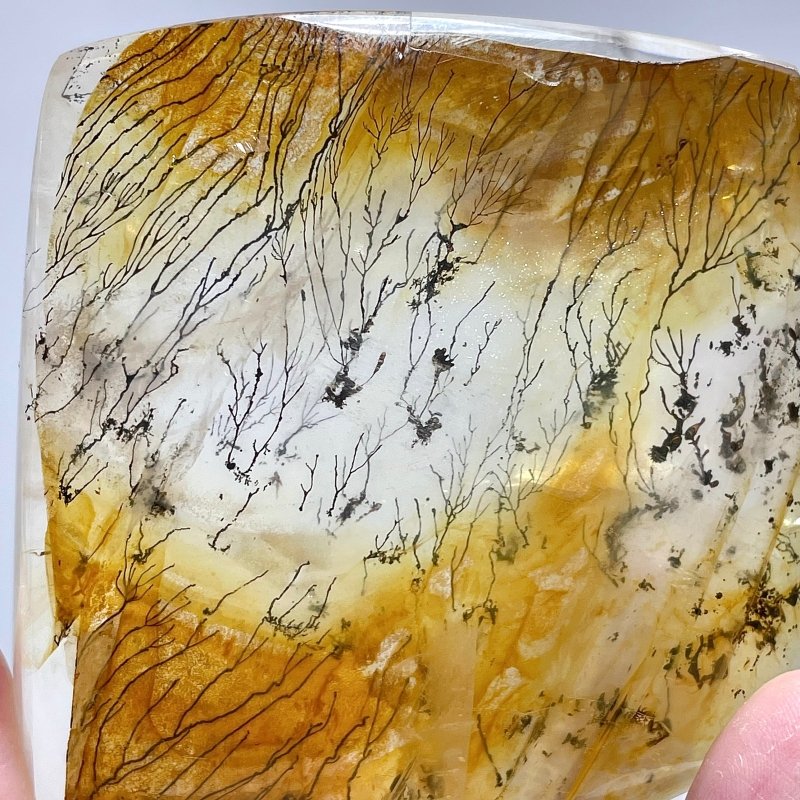 Golden Hematoid Crystal Mixed Pyrolusite Tree Free Form - Wholesale Crystals