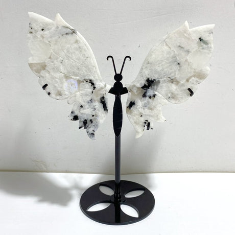India Moonstone Butterfly Wing Carving With Stand -Wholesale Crystals