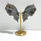 Labradorite Butterfly Wing Carving With Stand - Wholesale Crystals