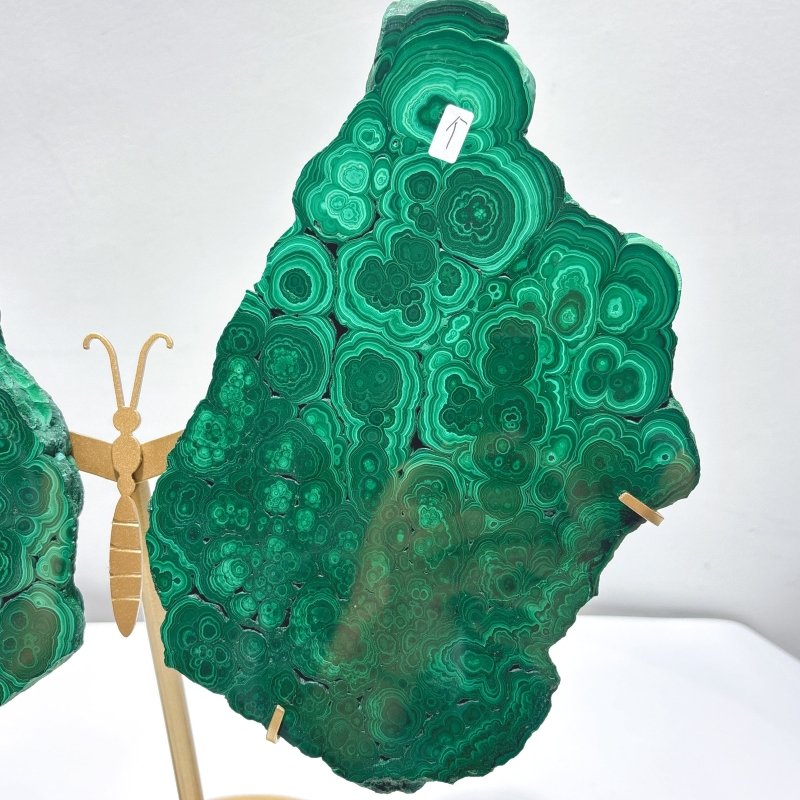 Large Polished Malachite Raw Slab Butterfly Wing With Stand (#2) - Wholesale Crystals