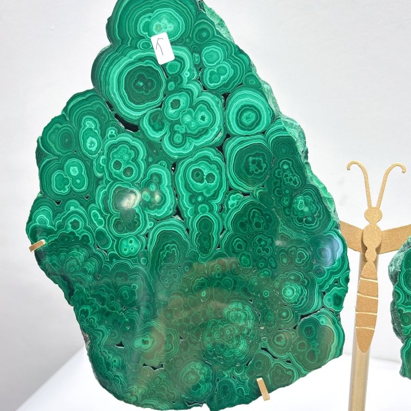 Large Polished Malachite Raw Slab Butterfly Wing With Stand (#2) - Wholesale Crystals