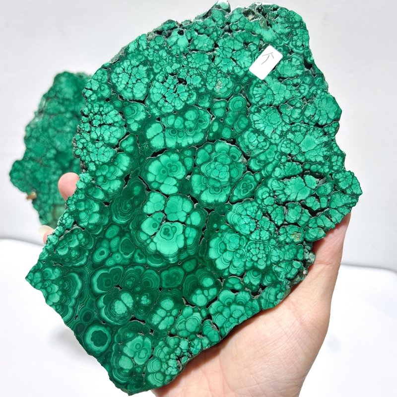 Large Polished Malachite Raw Slab Butterfly Wing With Stand (#4) - Wholesale Crystals