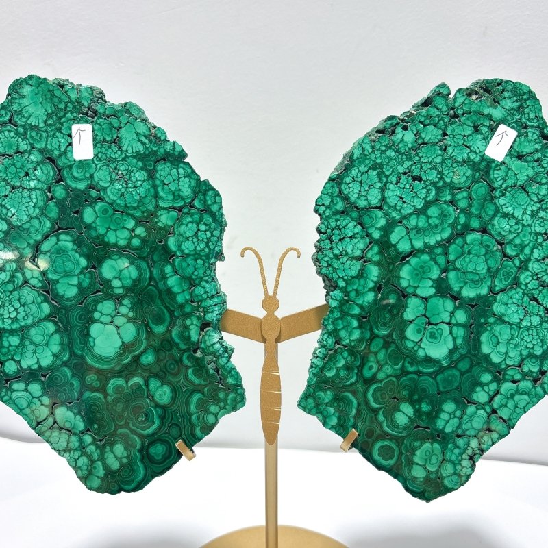 Large Polished Malachite Raw Slab Butterfly Wing With Stand (#4) - Wholesale Crystals