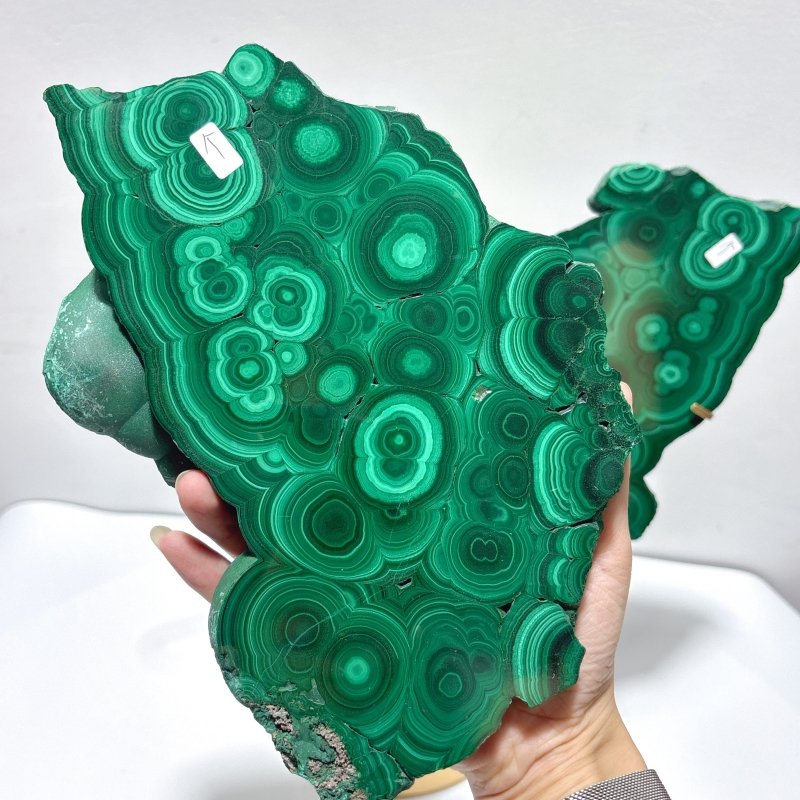 Large Polished Malachite Raw Slab Butterfly Wing With Stand（#8） - Wholesale Crystals