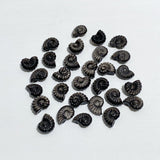 Mini Silver Sheen Obsidian Conch Carving Wholesale -Wholesale Crystals