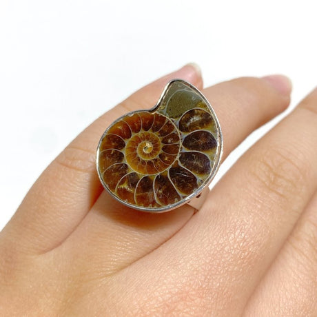 Natural Ammonite Fossil Conch Ring Wholesale - Wholesale Crystals