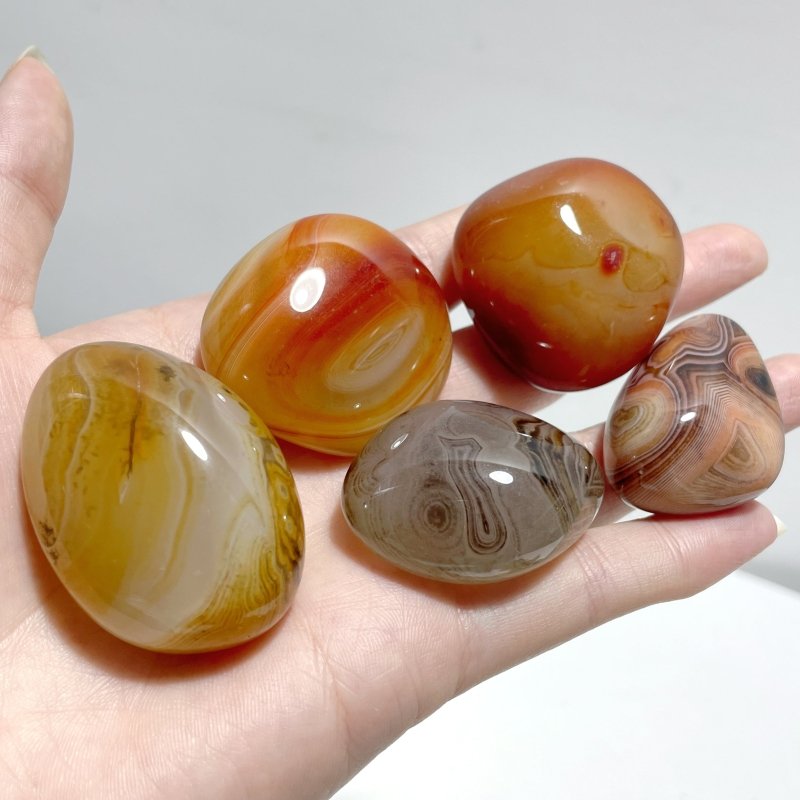 Natural Silk Agate Palm Stone Free Form Wholesale - Wholesale Crystals