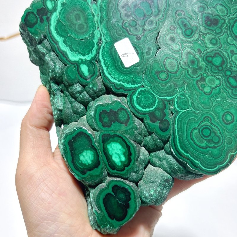 Polished Malachite Raw Slab Butterfly Wing With Stand (#9) - Wholesale Crystals