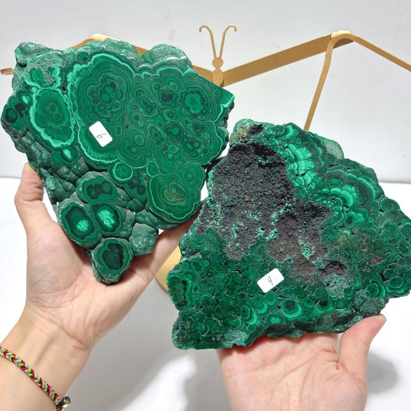 Polished Malachite Raw Slab Butterfly Wing With Stand (#9) - Wholesale Crystals