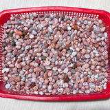 Polished Pink Agate Mini Tumbled Wholesale - Wholesale Crystals