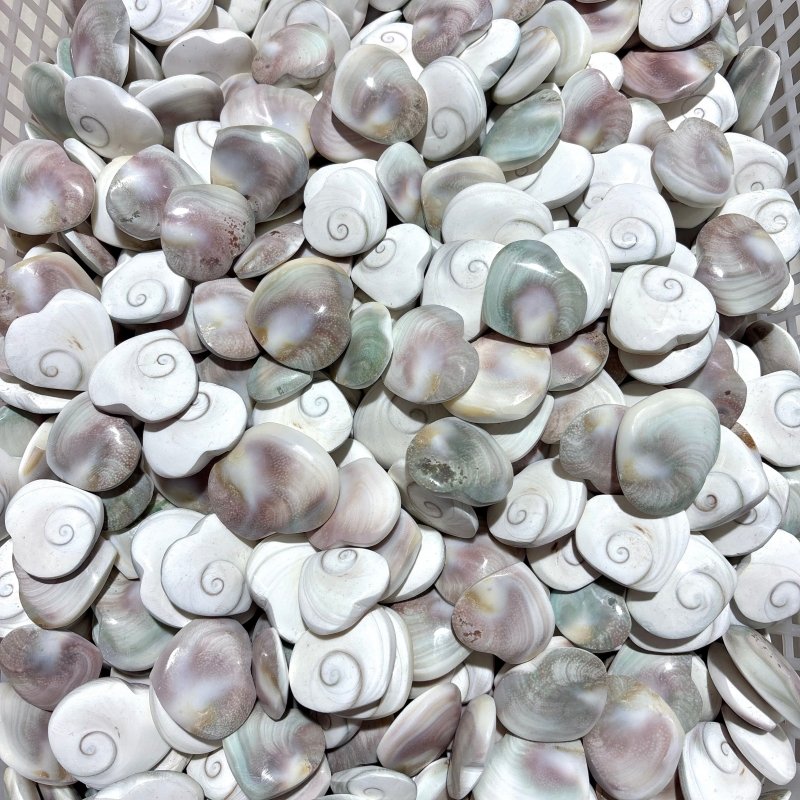Polished Shell Fossil Heart Wholesale -Wholesale Crystals