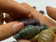 25 Pieces Ocean Jasper Snails Carving