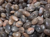 Black Rainbow Sun Stone With Hematite Tumbled Wholesale -Wholesale Crystals