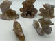 5 Pieces Sakura Flower Agate Geode Dolphin Carving -Wholesale Crystals