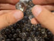 Rainbow Clear Smoky Quartz Spheres Ball Wholesale