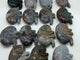 15 Pieces Ocean Jasper Kidney Carving -Wholesale Crystals