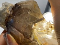 Record Keeper Enhydro Smoky Quartz Backbone Healing Energy Crystal