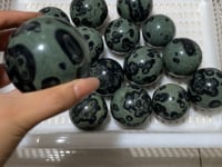 16 Pieces Kambaba Jasper Spheres