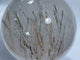 Large Rare Clear Quartz With Mica High Quality Sphere