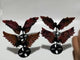4 Pairs Beautiful Rhodonite Pegasus Wing Carving With Stand