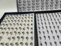 3 Types Labradorite Ring Moon Cat Crown Shape -Wholesale Crystals