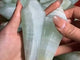 Green Calcite Scepter Point Magic Wand Wholesale