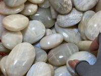 Moonstone Palm Crystal Wholesale