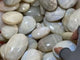Moonstone Palm Crystal Wholesale