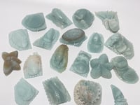 19 Pieces Caribbean Calcite Marine Animals Carving