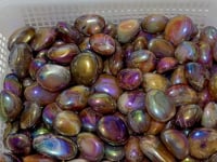 Aura Silk Agate Palm Stone Free Form Wholesale