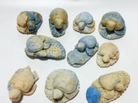 10 Pieces Blue Dumortierite Sea Turtle Carving